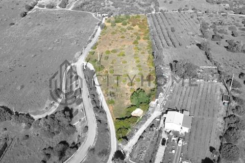 Helårsgrund i Guia, Faro, Guia - € 145.000 | Ref: City-25-34V - foto 18