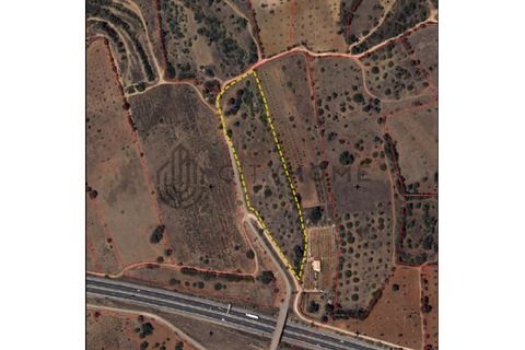 Helårsgrund i Guia, Faro, Guia - € 145.000 | Ref: City-25-34V - foto 19