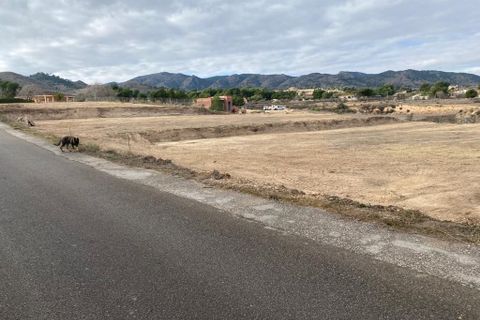Terra a Monovar, Alicante, Monovar - € 130.000 | Ref: IZ-166 - foto 2
