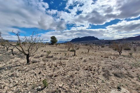Terra a Salinas, Alicante, Salinas - € 55.000 | Ref: IZ-188-1-EXIZ - foto 2