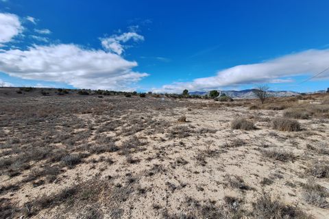 Terra a Salinas, Alicante, Salinas - € 55.000 | Ref: IZ-188-1-EXIZ - foto 4
