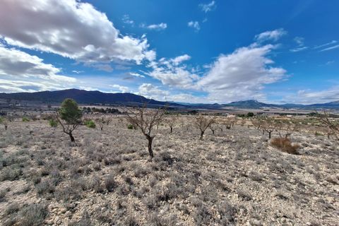 Terra a Salinas, Alicante, Salinas - € 55.000 | Ref: IZ-188-1-EXIZ - foto 5