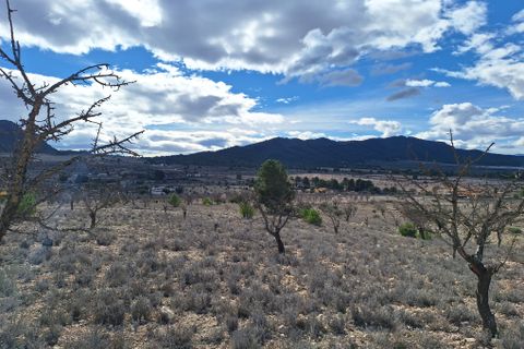 Terra a Salinas, Alicante, Salinas - € 55.000 | Ref: IZ-188-1-EXIZ - foto 6