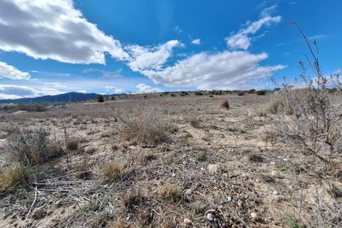 Terra a Salinas, Alicante, Salinas - € 55.000 | Ref: IZ-188-1-EXIZ - foto 15