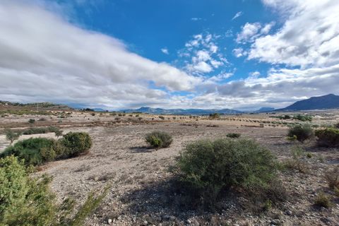 Terra a Salinas, Alicante, Salinas - € 55.000 | Ref: IZ-188-1-EXIZ - foto 16