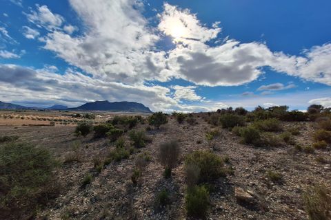 Terra a Salinas, Alicante, Salinas - € 55.000 | Ref: IZ-188-1-EXIZ - foto 17