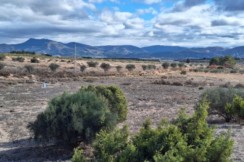 Terra a Salinas, Alicante, Salinas - € 55.000 | Ref: IZ-188-1-EXIZ - foto 18