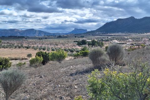 Terra a Salinas, Alicante, Salinas - € 55.000 | Ref: IZ-188-1-EXIZ - foto 19