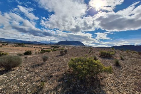 Terra a Salinas, Alicante, Salinas - € 55.000 | Ref: IZ-188-1-EXIZ - foto 21