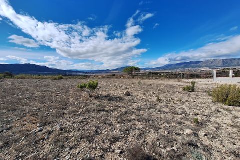 Terra a Salinas, Alicante, Salinas - € 55.000 | Ref: IZ-188-1-EXIZ - foto 23