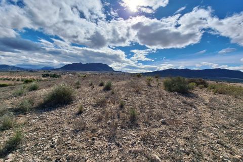 Terra a Salinas, Alicante, Salinas - € 55.000 | Ref: IZ-188-1-EXIZ - foto 24