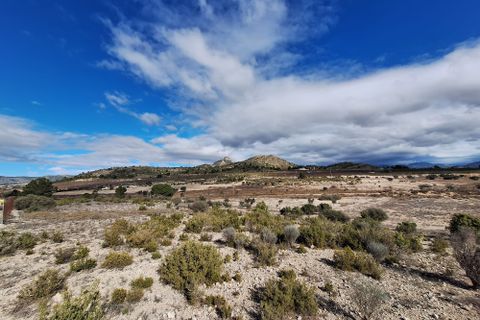 Terra a Salinas, Alicante, Salinas - € 55.000 | Ref: IZ-188-1-EXIZ - foto 25