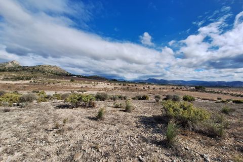 Terra a Salinas, Alicante, Salinas - € 55.000 | Ref: IZ-188-1-EXIZ - foto 26