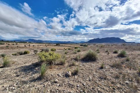 Terra a Salinas, Alicante, Salinas - € 55.000 | Ref: IZ-188-1-EXIZ - foto 27