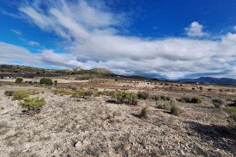 Terra a Salinas, Alicante, Salinas - € 55.000 | Ref: IZ-188-1-EXIZ - foto 28