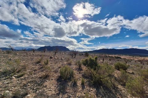 Terra a Salinas, Alicante, Salinas - € 55.000 | Ref: IZ-188-1-EXIZ - foto 29