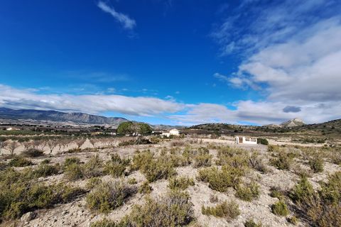 Terra a Salinas, Alicante, Salinas - € 55.000 | Ref: IZ-188-1-EXIZ - foto 30