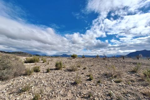 Terra a Salinas, Alicante, Salinas - € 55.000 | Ref: IZ-188-1-EXIZ - foto 31