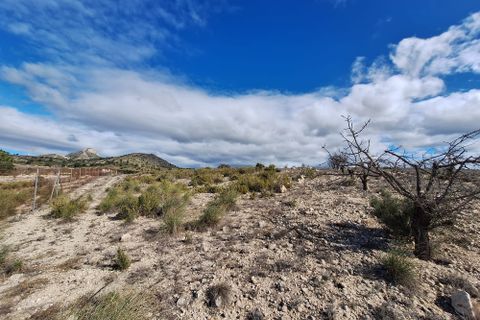Terra a Salinas, Alicante, Salinas - € 55.000 | Ref: IZ-188-1-EXIZ - foto 33