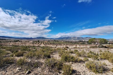 Terra a Salinas, Alicante, Salinas - € 55.000 | Ref: IZ-188-1-EXIZ - foto 35