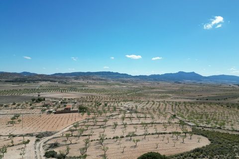 Helårsgrund i Pinoso, Alicante, Pinoso - € 34.950 | Ref: IZ-214-EXIZ - foto 1
