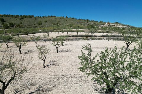Helårsgrund i Pinoso, Alicante, Pinoso - € 34.950 | Ref: IZ-214-EXIZ - foto 3