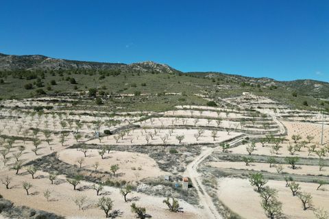 Helårsgrund i Pinoso, Alicante, Pinoso - € 34.950 | Ref: IZ-214-EXIZ - foto 4