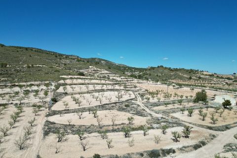 Helårsgrund i Pinoso, Alicante, Pinoso - € 34.950 | Ref: IZ-214-EXIZ - foto 5
