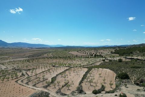 Helårsgrund i Pinoso, Alicante, Pinoso - € 34.950 | Ref: IZ-214-EXIZ - foto 7