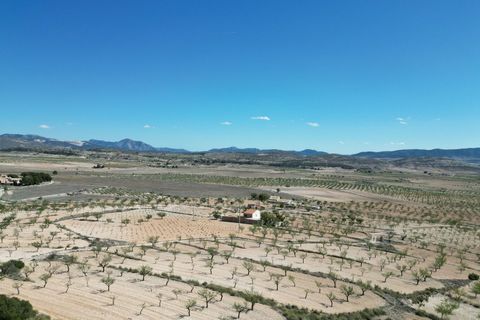 Helårsgrund i Pinoso, Alicante, Pinoso - € 34.950 | Ref: IZ-214-EXIZ - foto 8