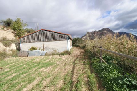 Landejendom i Velez-Blanco, Almeria, Velez-Blanco - € 475.000 | Ref: IZ-G2058 - foto 48