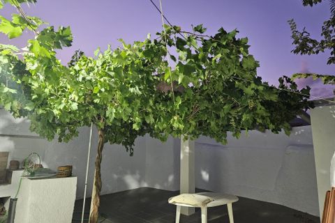 Cortijo i Cullar, Granada, Cullar - € 76.950 | Ref: IZ-G2040 - foto 16