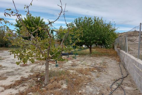 Landejendom i Caniles, Granada, Caniles - € 139.500 | Ref: IZ-G2063 - foto 27