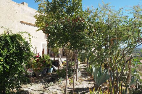 Cave house i Benamaurel, Granada, Benamaurel - € 129.500 | Ref: IZ-G2069 - foto 27