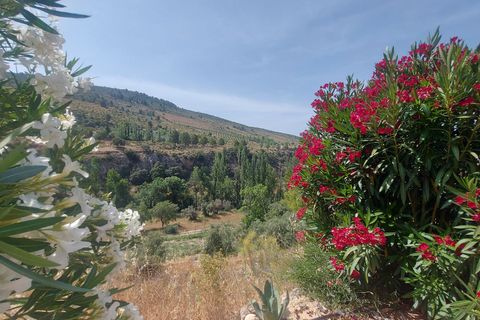 Villa i Huescar, Granada, Huescar - € 289.000 | Ref: IZ-437-G - foto 33