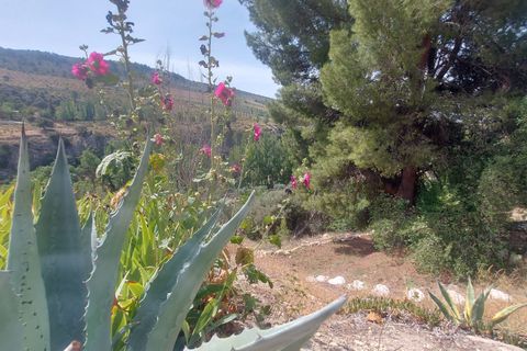 Villa i Huescar, Granada, Huescar - € 289.000 | Ref: IZ-437-G - foto 36