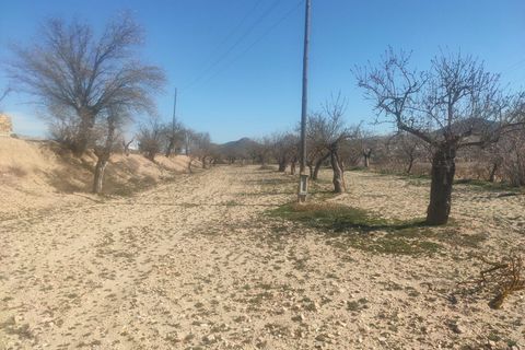 Landejendom i Chirivel, Almeria, Chirivel - € 329.000 | Ref: IZ-438-G - foto 30