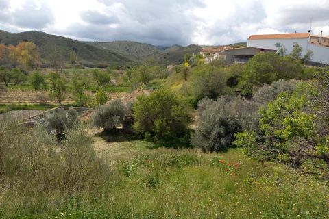 Landejendom i Caniles, Granada, Caniles - € 68.000 | Ref: IZ-449-G - foto 19