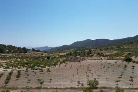 Terra a Monovar, Alicante, Monovar - € 59.950 | Ref: IZ-469-EXIZ - foto 5