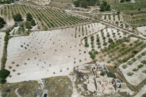 Terra a Monovar, Alicante, Monovar - € 59.950 | Ref: IZ-469-EXIZ - foto 9