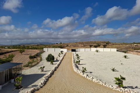 Villa a Pinoso, Alicante, Pinoso - € 599.995 | Ref: IZ-271 - foto 28