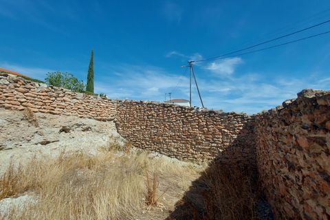 Cave house i Castillejar, Granada, Castillejar - € 125.000 | Ref: IZ-511-G - foto 20