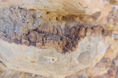 Cave house i Castillejar, Granada, Castillejar - € 125.000 | Ref: IZ-511-G - foto 27