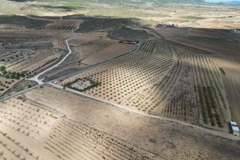 Terra a Lel, Alicante, Lel - € 49.950 | Ref: IZ-540-EXIZ - foto 5