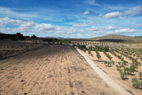 Terra a Lel, Alicante, Lel - € 49.950 | Ref: IZ-540-EXIZ - foto 13