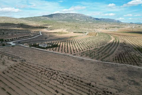 Terra a Lel, Alicante, Lel - € 49.950 | Ref: IZ-540-EXIZ - foto 14