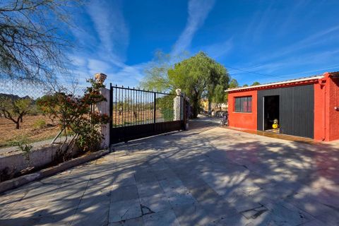 Landejendom i La Solana, Alicante, La Solana - € 289.950 | Ref: IZ-552-EXIZ - foto 40