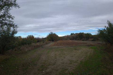 Landejendom i Caniles, Granada, Caniles - € 226.000 | Ref: IZ-581-G - foto 14