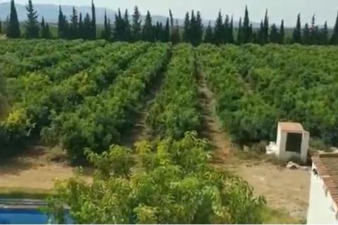 Villa a Roquetes, Tarragona, Roquetes - € 1.930.000 | Ref: R-Barcelona  - foto 6