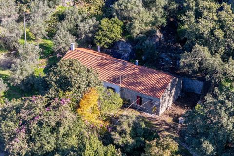 Villa i Monchique, Faro, Monchique - € 299.500 | Ref: C0240-03514 - foto 1
